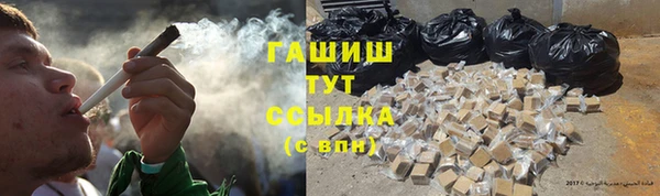 гидра Заводоуковск