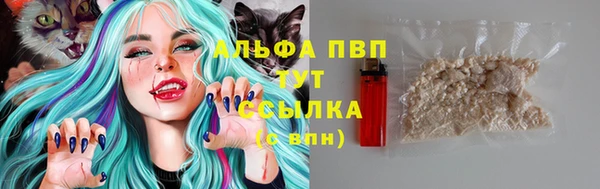 гидра Заводоуковск