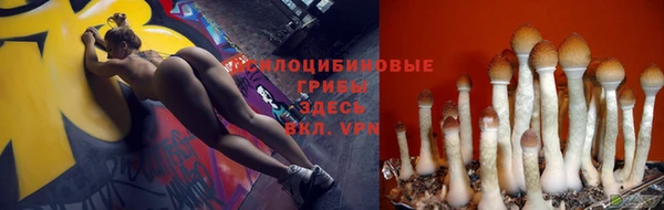гидра Заводоуковск
