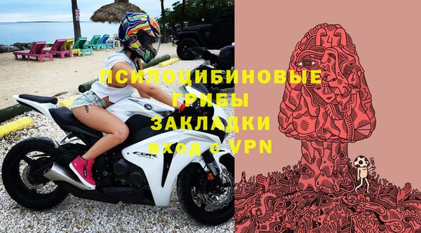 гидра Заводоуковск
