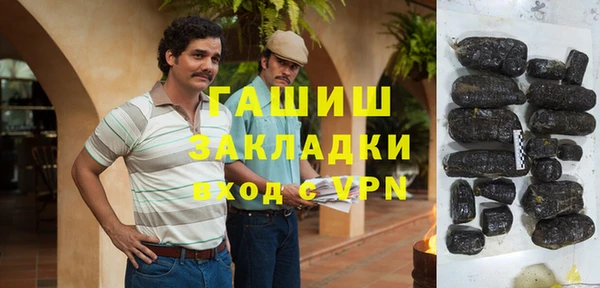 гидра Заводоуковск