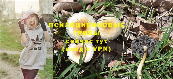 гидра Заводоуковск