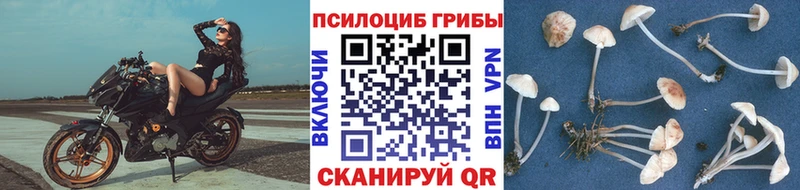 Купить закладки  Харовск  Галлюциногенные грибы Magic Shrooms 